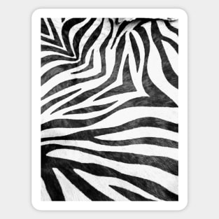 Photographic Image of Realistic Zebra Print in Black and White Sticker